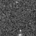 2023pua_image
