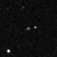 2023pup_image