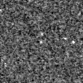 2023put_image