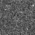2023pwq_image