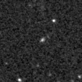 2023pyg_image