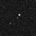2023pyi_image