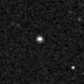 2023pym_image