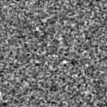 2023pyo_image