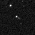 2023pyp_image