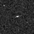 2023pyw_image