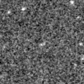 2023pyx_image