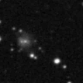 2023pzg_image