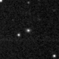 2023pzq_image