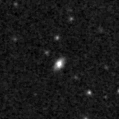 2023pzw_image