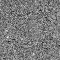 2023qbr_image
