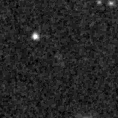 2023qdq_image