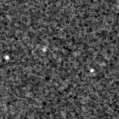 2023qgc_image
