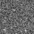 2023qha_image