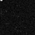 2023qig_image
