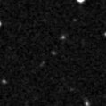 2023qiu_image