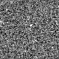 2023qiw_image