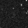 2023qjd_image