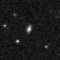 2023qjf_image
