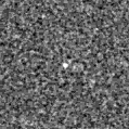 2023qjx_image
