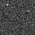 2023qko_image