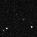 2023qlz_image