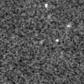2023qmc_image