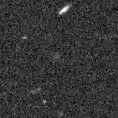 2023qmd_image