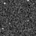 2023qok_image