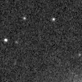 2023qov_image