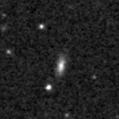 2023qqa_image