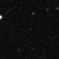 2023qtl_image