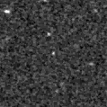 2023ram_image