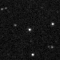 2023rao_image