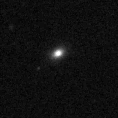 2023rbo_image