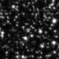 2023rbw_image