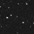 2023rcp_image