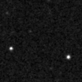 2023rdw_image
