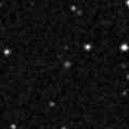 2023reo_image
