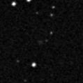 2023rex_image