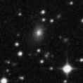 2023rfc_image