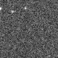 2023rfg_image