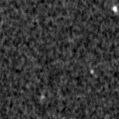2023rho_image