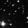 2023rib_image