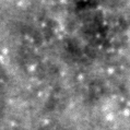2023rie_image