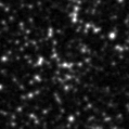 2023rjx_image