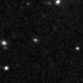 2023rlb_image