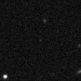 2023rlm_image