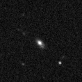 2023rno_image