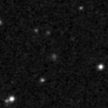 2023rol_image